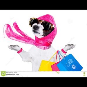 Fun stuff your dog would even love!!!